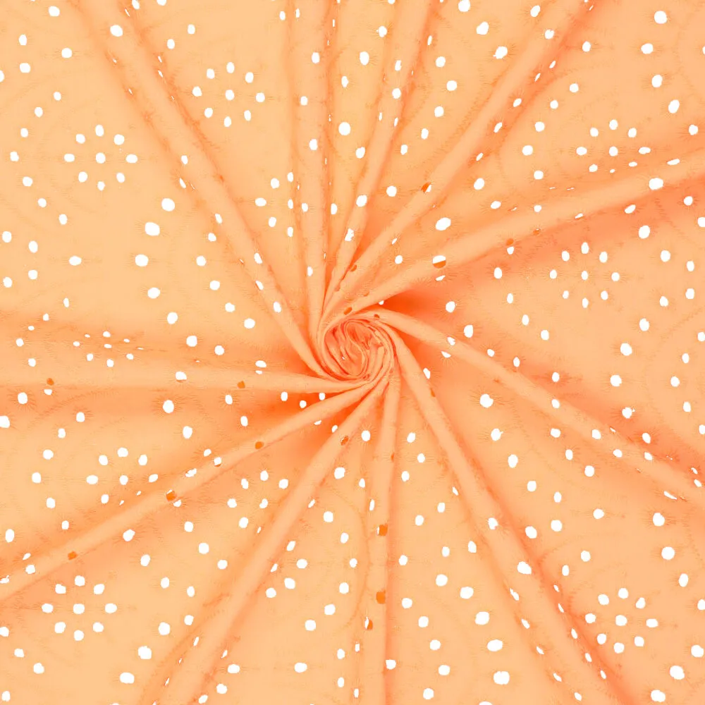 90107 Colorfull Swiss Embroidery