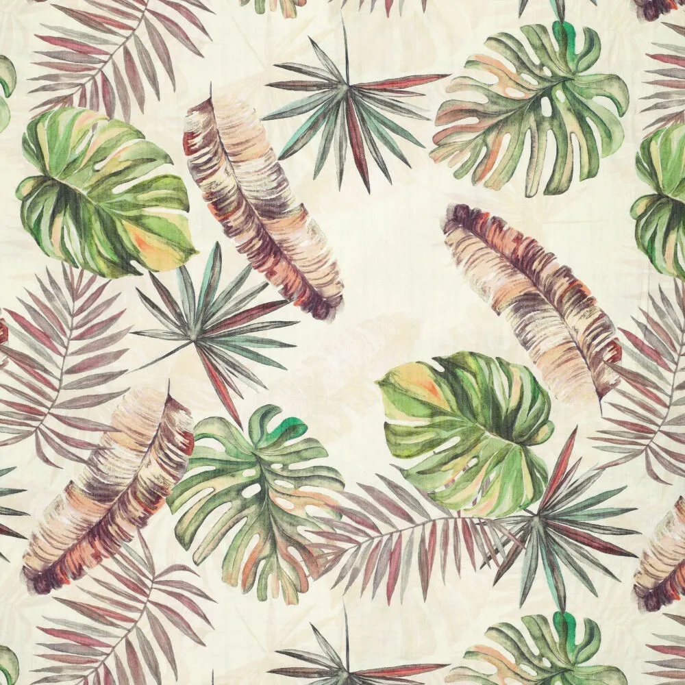 23563 Striepa Tropicano