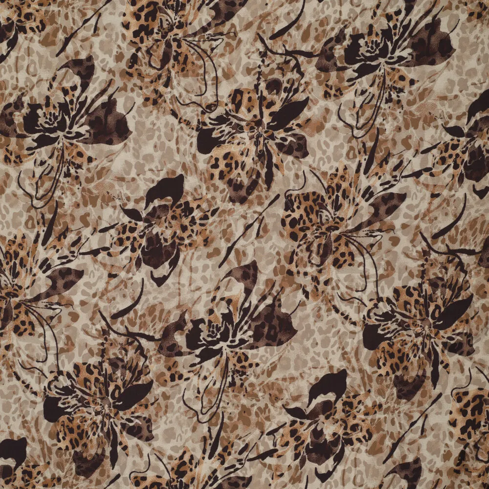 22325 Viskaci Phoebe 22325 Viskaci Phoebe