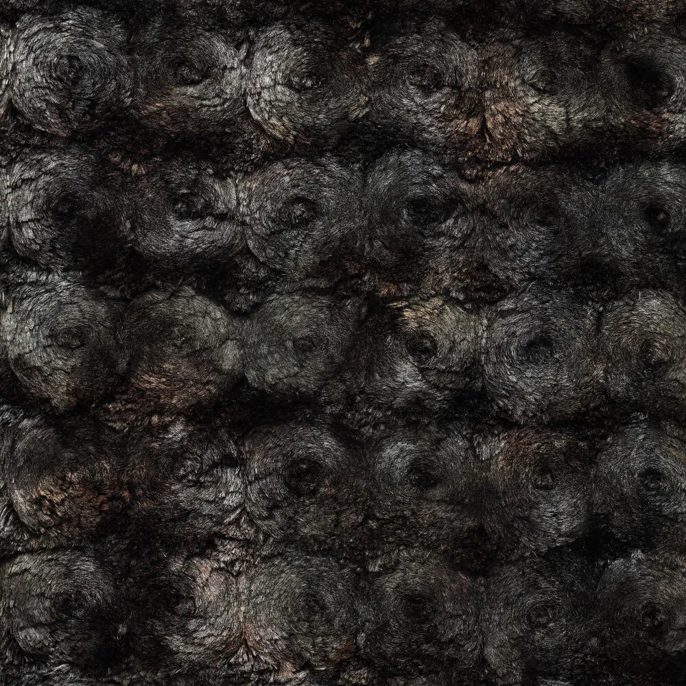 22048 Magic Bird Foil Fur
