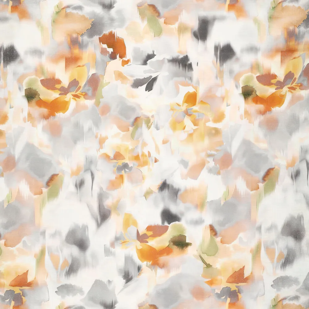 22516 Shinio Sundew 22516 Shinio Sundew