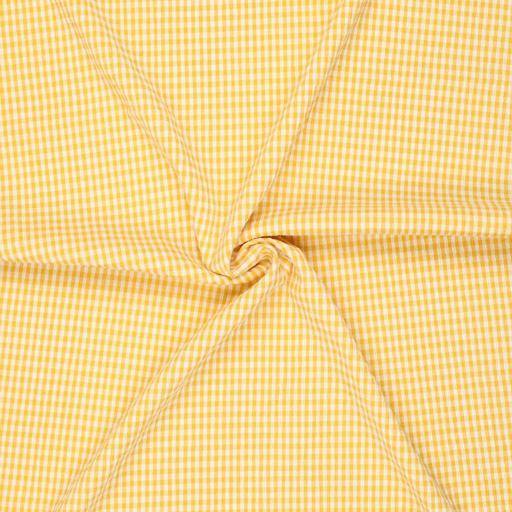 22667 Crinkle Celine Vichy Check