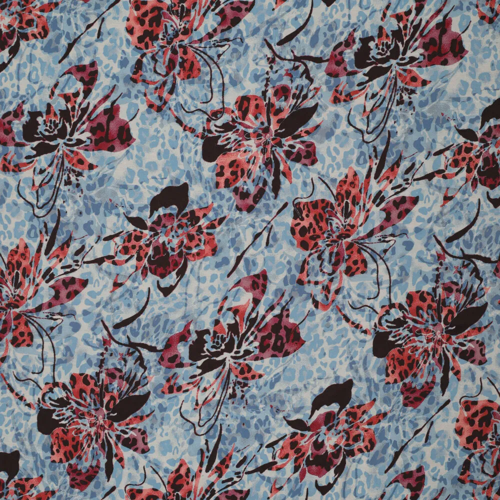 22325 Viskaci Phoebe 22325 Viskaci Phoebe