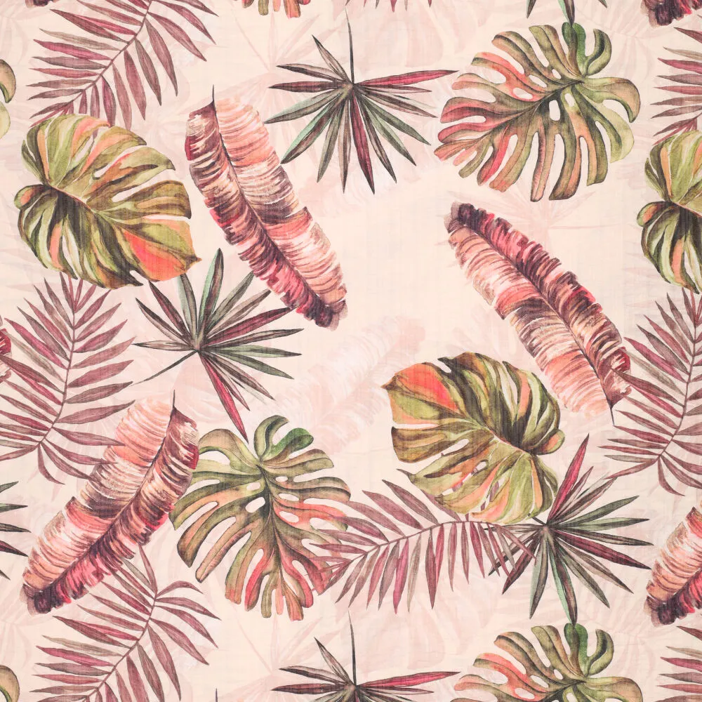 23563 Striepa Tropicano
