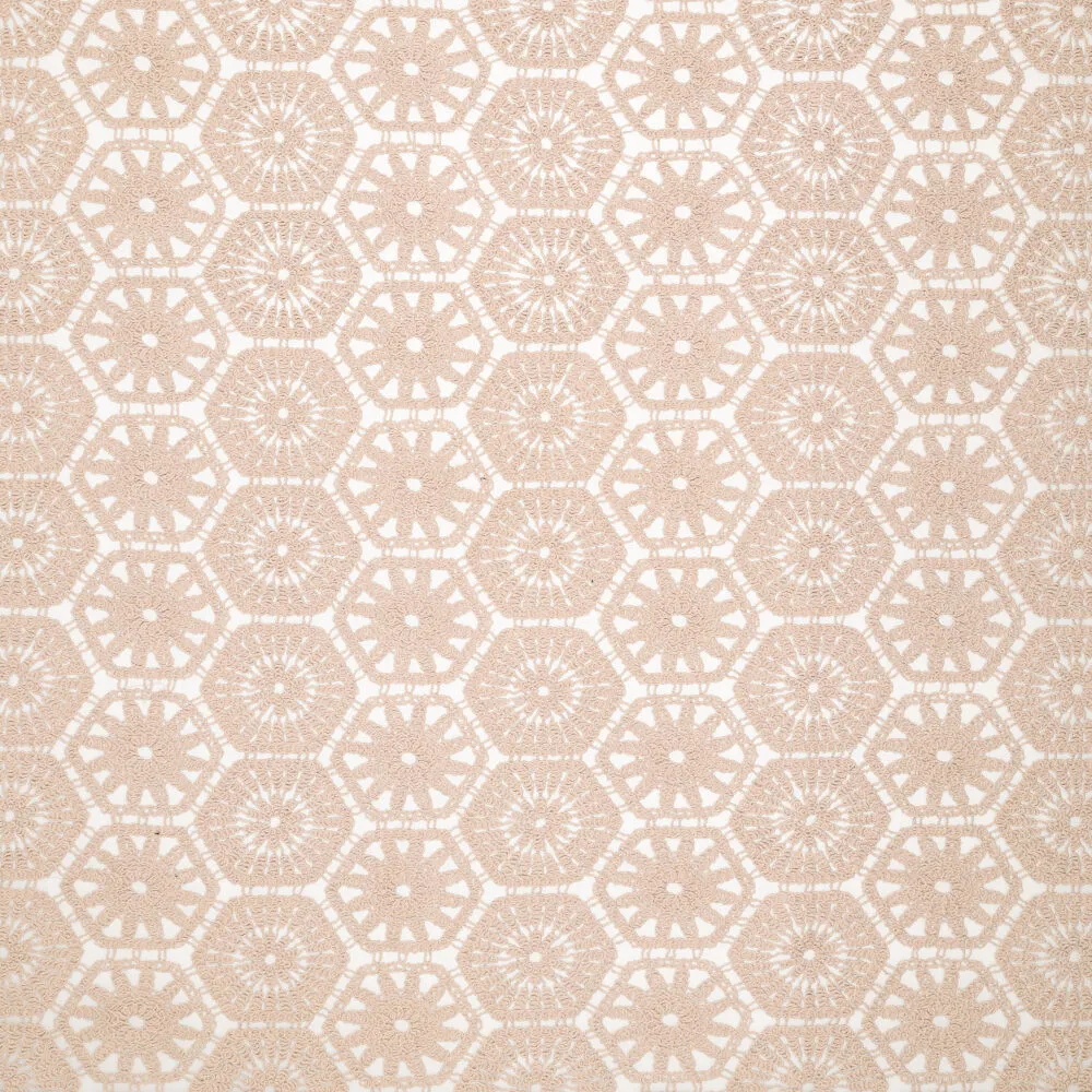 19620 Cotton Lato