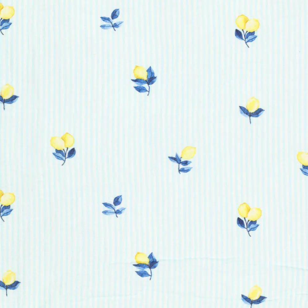 22611 Foody Stripes Mousseline
