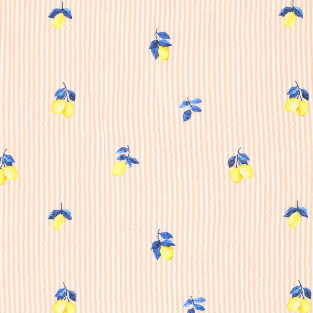 22611 Foody Stripes Mousseline 22611 Foody Stripes Mousseline